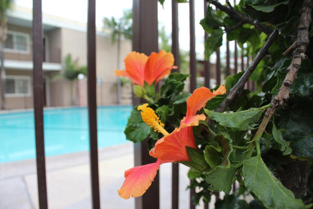 Budget Near Disneyland Drive 2* Anaheim